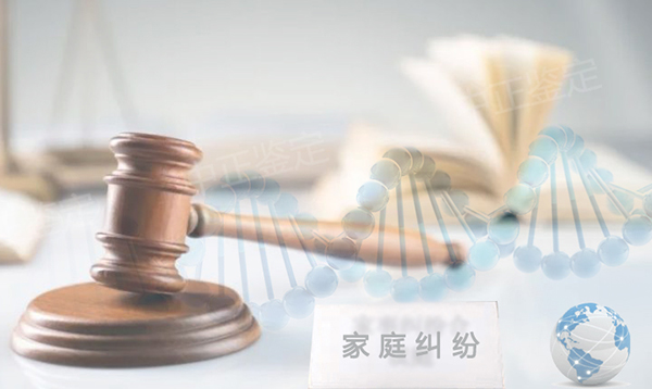 广东司法亲子鉴定需要什么手续,