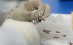 广东司法亲子鉴定需要什么手续,